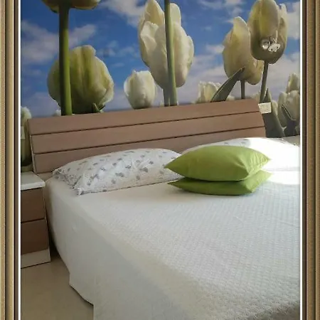 Apartman Katija Drvenik