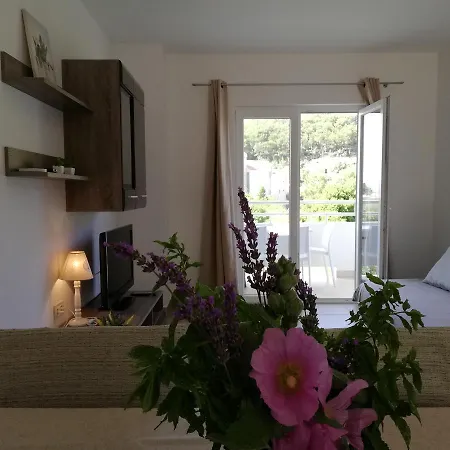 Apartment Katija