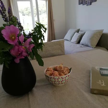Katija Appartement *